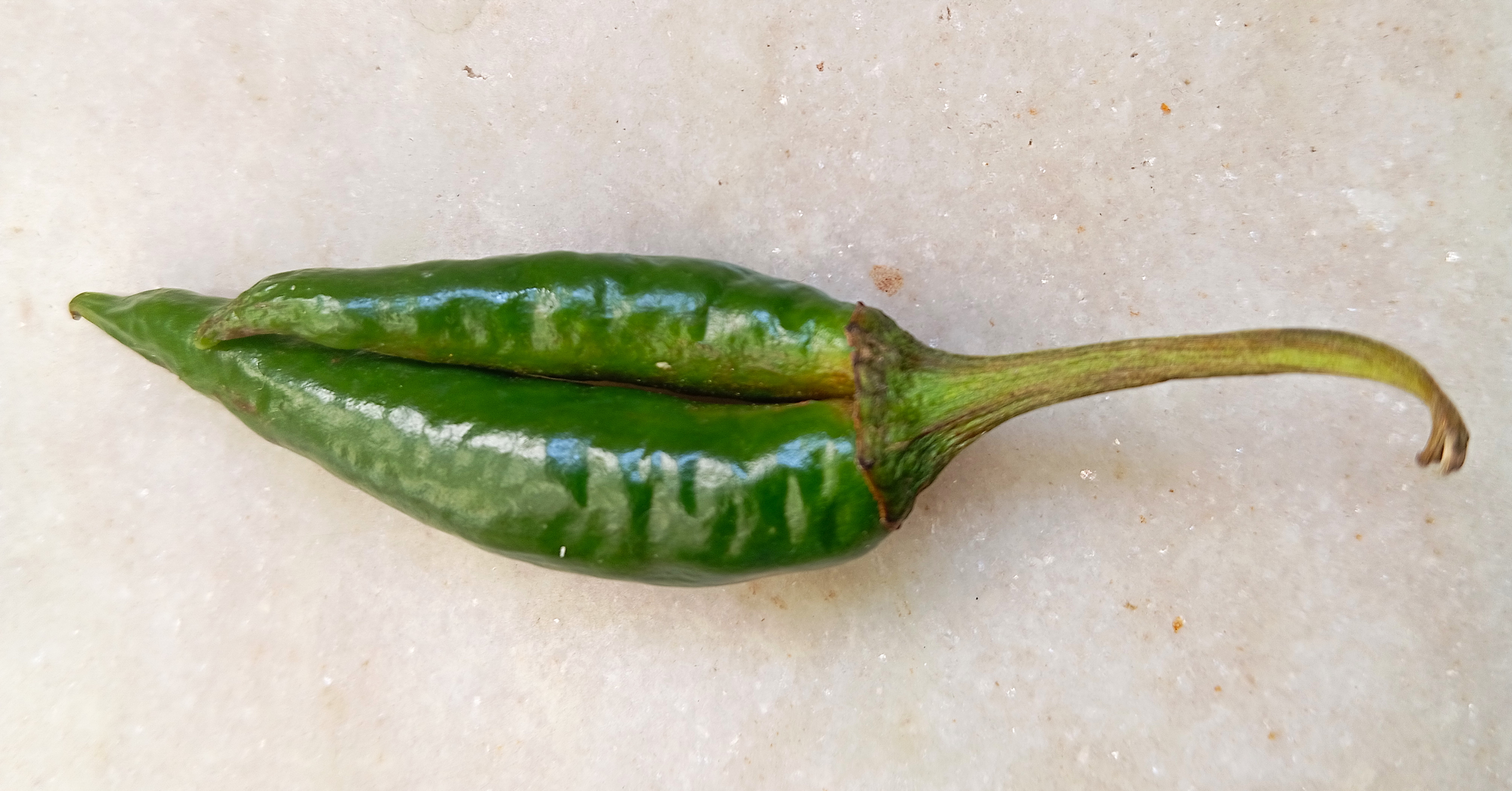 Chile serrano